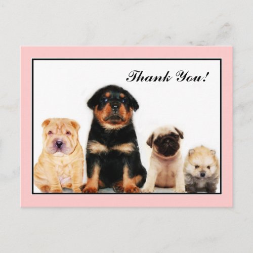 Thank You Puppies postcard