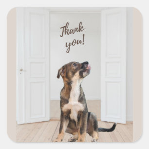 Thank You Puppy Sticker