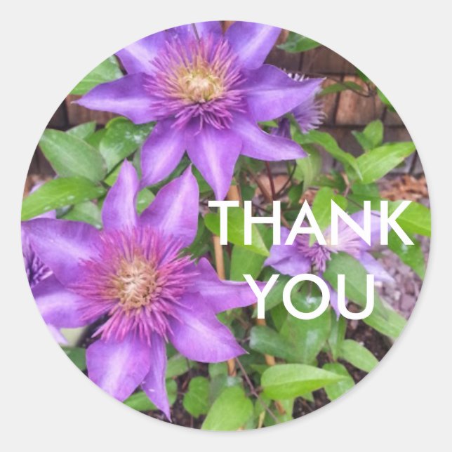 Thank you purple flowers classic round sticker (Front)
