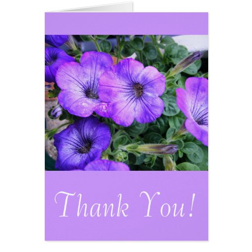 Thank You! Purple Flowers Greeting Card | Zazzle