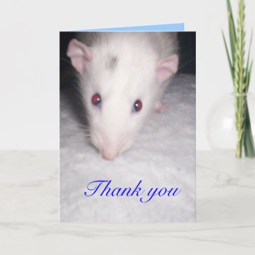 thank you rat card