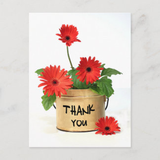 Thank You Red Gerbera Daisy Flower Pot Post Card