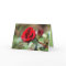 Thank You Red Rose Card