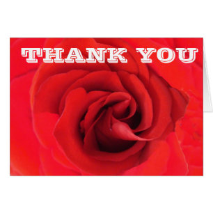 Thank You Red Rose Flower Close-up Photo Floral Cards