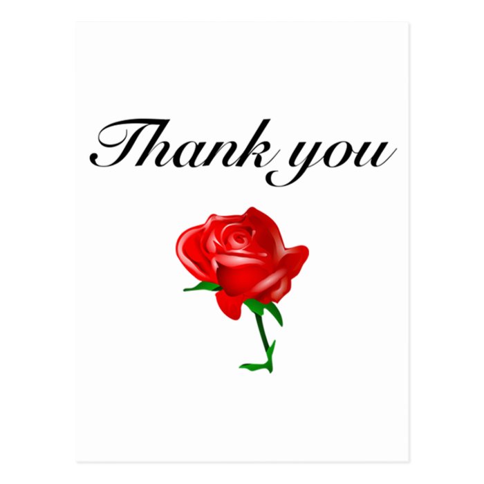 thank you red rose post cards