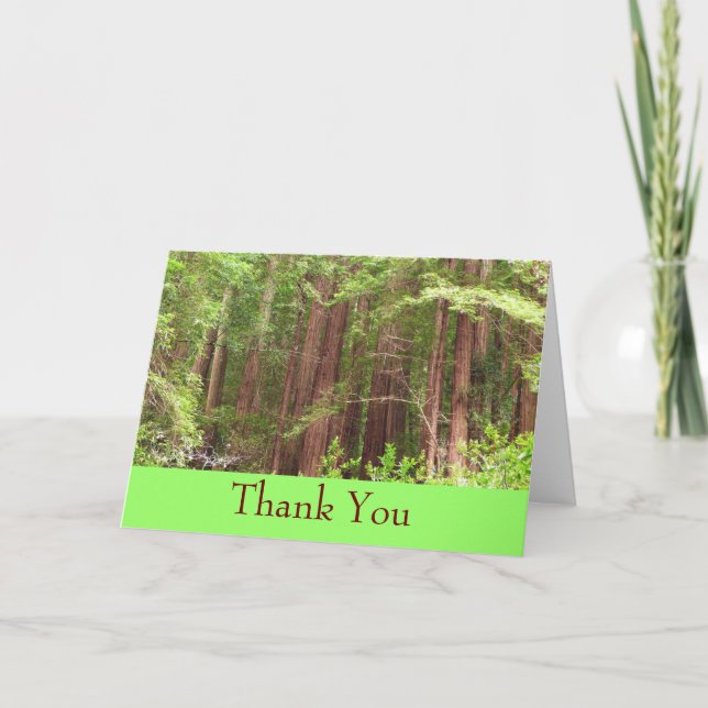 Thank You Redwood Forest Card (Front)