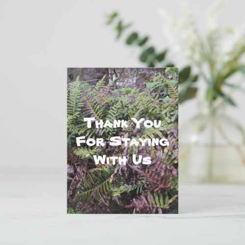 Thank You Rental House Ferns Forest Cabin Guest Postcard