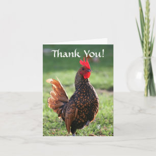 Thank You, Rooster Letterpress Thank You Card