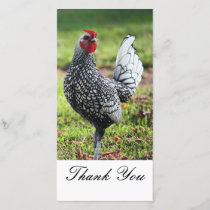 Thank You, Rooster Photo Card