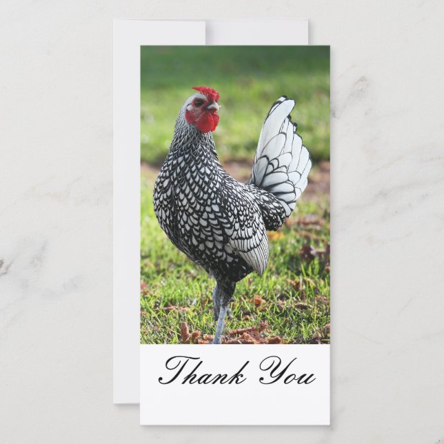 Thank You, Rooster Photo Card (Front)