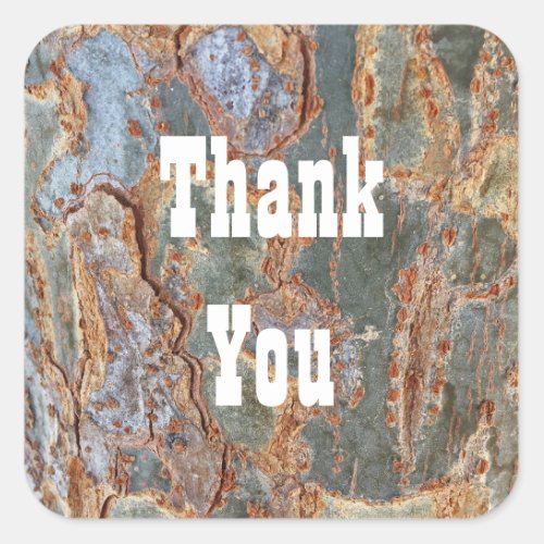 Thank You Rustic Tree Bark Abstract Appreciation Square Sticker