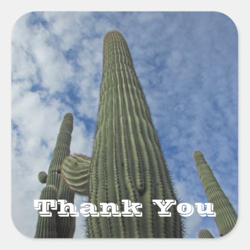 Thank You Saguaro Cactus Blue Sky Appreciation Square Sticker