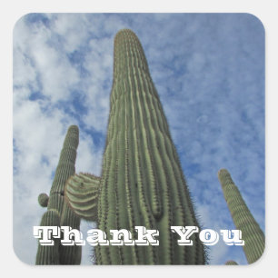 Thank You Saguaro Cactus Blue Sky Appreciation Square Sticker