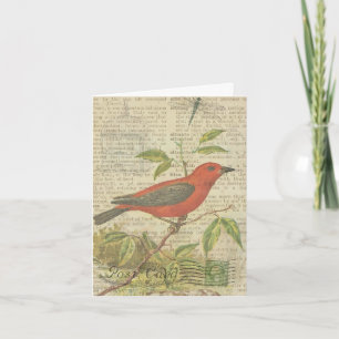 Thank You Scarlet Tanager Vintage Bird Birdcage Card