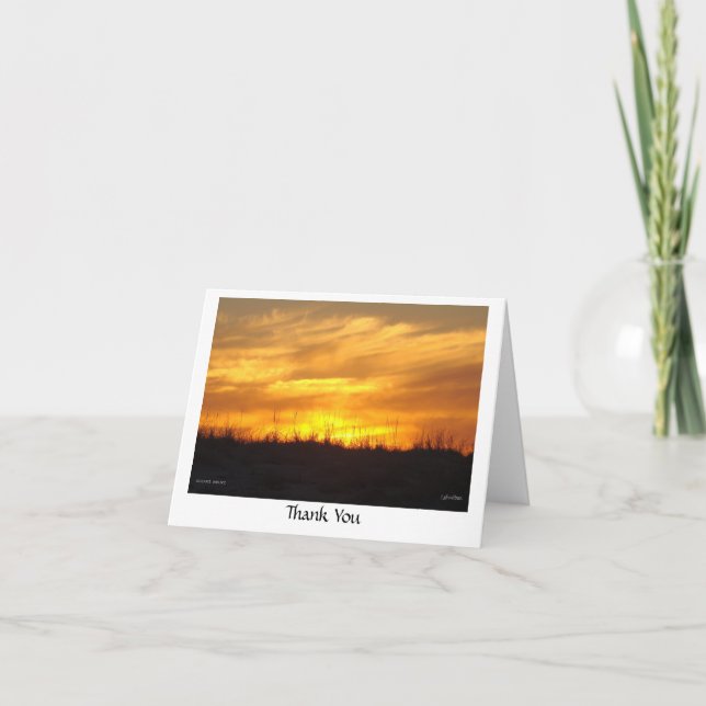 Thank You - scusset beach Card (Front)