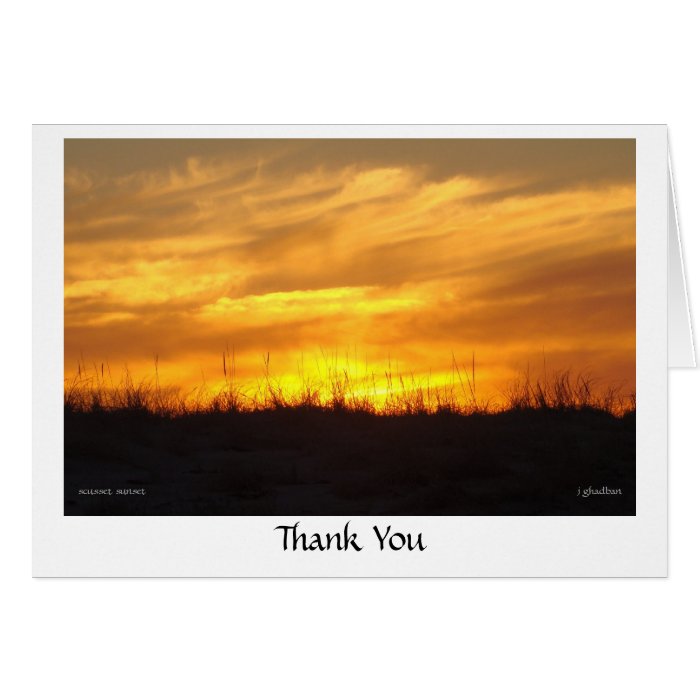 Thank You   scusset beach Greeting Cards