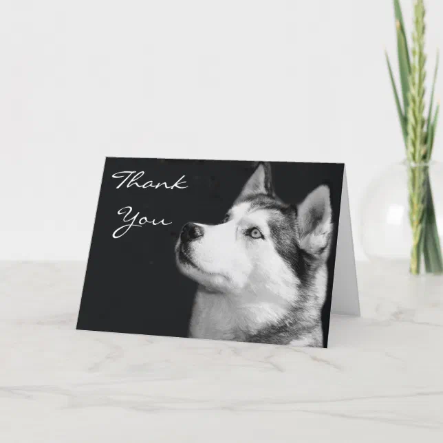Thank You Siberian Husky Greeting Card Zazzle