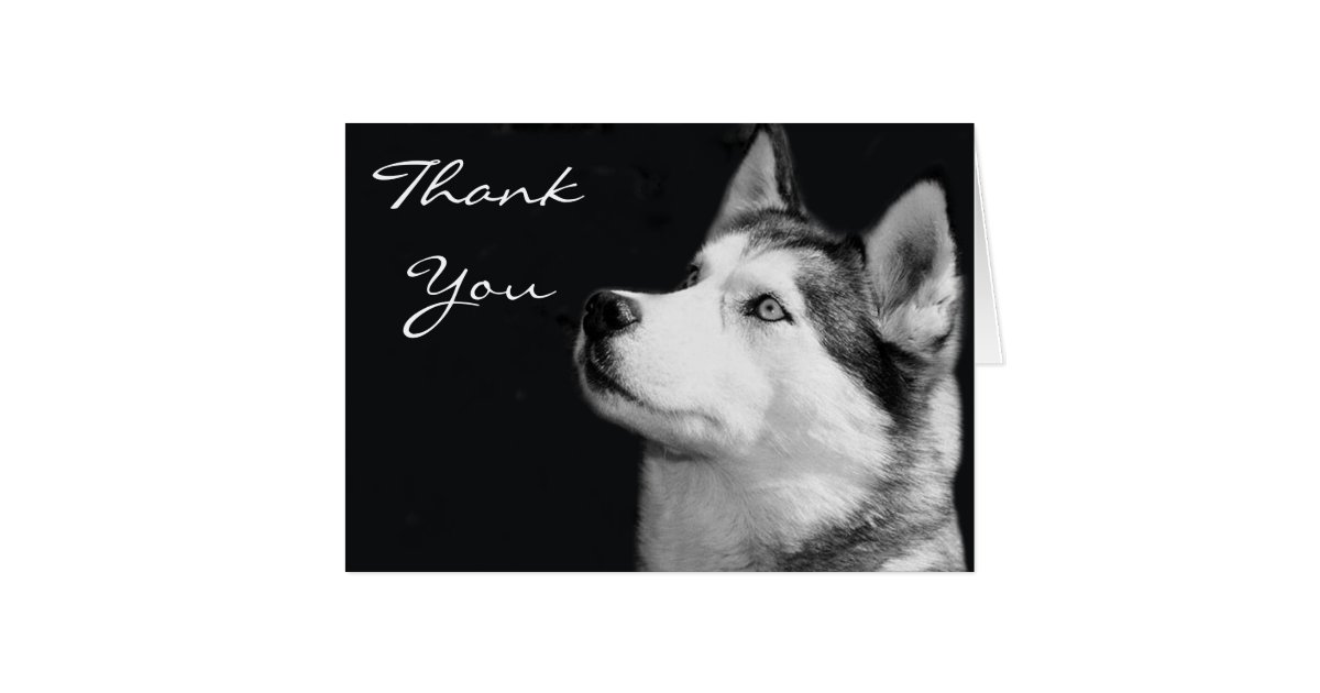 Thank You Siberian Husky Greeting Card | Zazzle