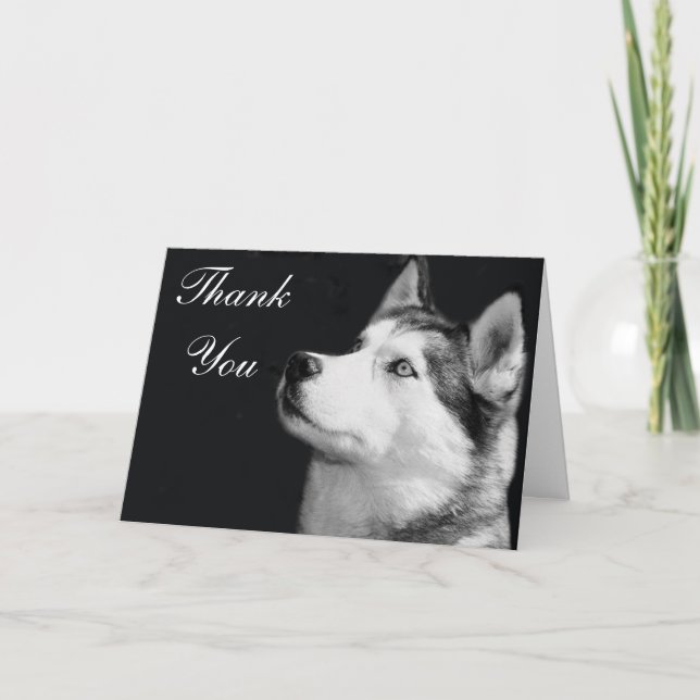 Thank You Siberian Husky Greeting  Card (Front)
