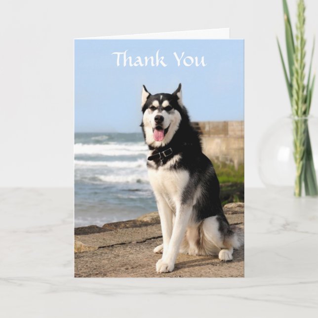 Thank  You Siberian Husky on Beach Greeting  Card (Front)