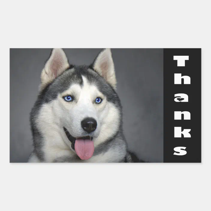 Thank You Siberian Husky Puppy Dog Custom Stickers Zazzle Com