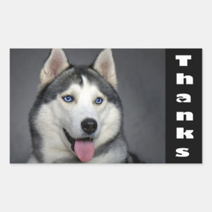 Thank You Siberian Husky Puppy Dog Custom Stickers