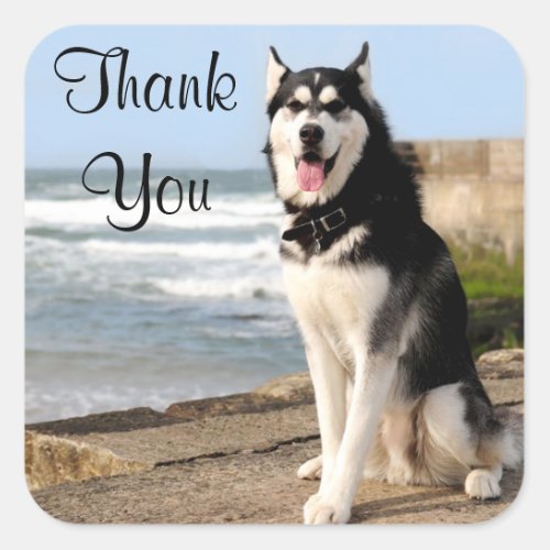 Thank You Siberian Husky Puppy Dog Stickers Labels