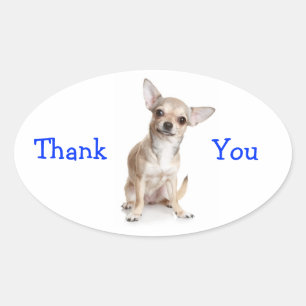Thank You Smiling Chihuahua Sticker