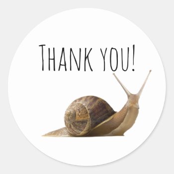 Thank You Snail Classic Round Sticker by Rockethousebirdship at Zazzle