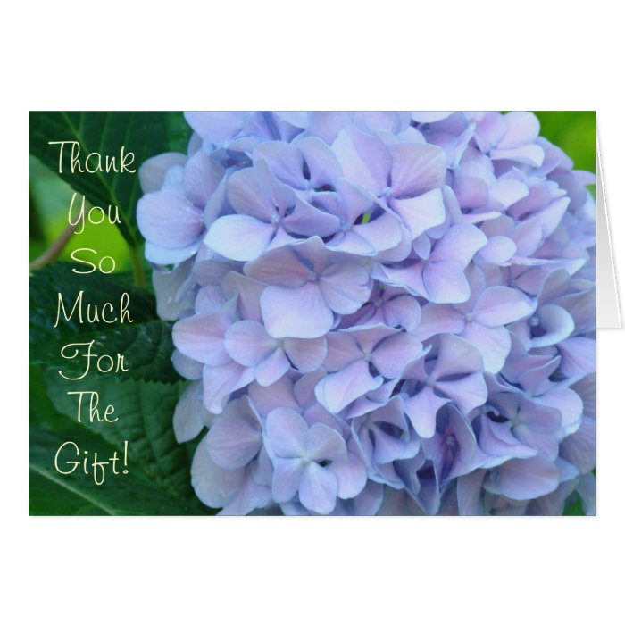 Thank You So Much for the Gift Cards Hydrangeas