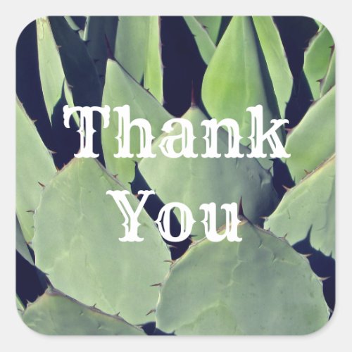 Thank You Southwestern Style Agave Appreciation Square Sticker
