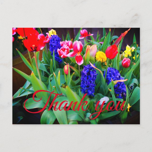 Thank You Spring Flowers #3 Postcard (Front)