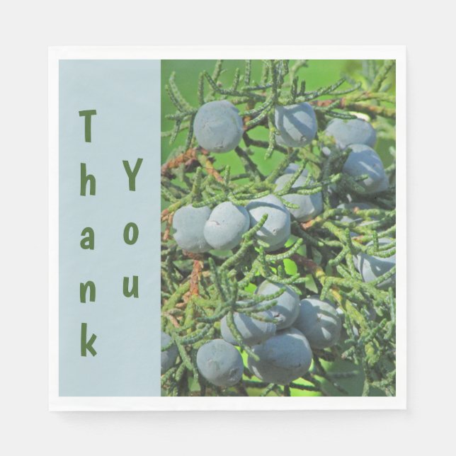 Thank You Spring Pine Berry Photo Appreciation Napkins (Front)
