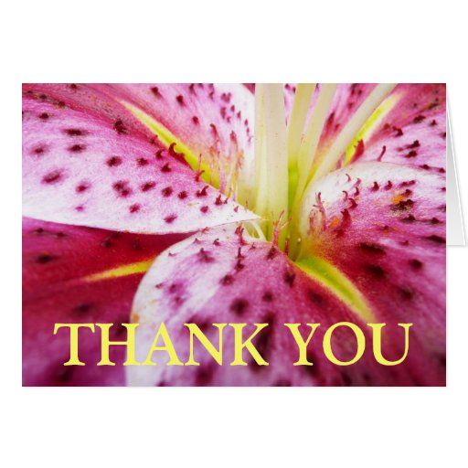 Thank You Stargazer Lily Card | Zazzle