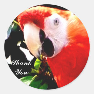Thank You_Sticker Classic Round Sticker