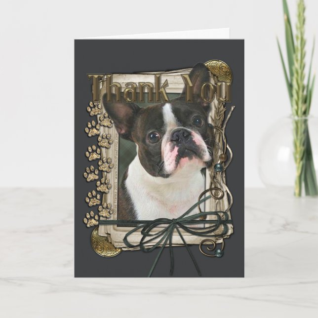 Thank You - Stone Paws - Boston Terrier (Front)