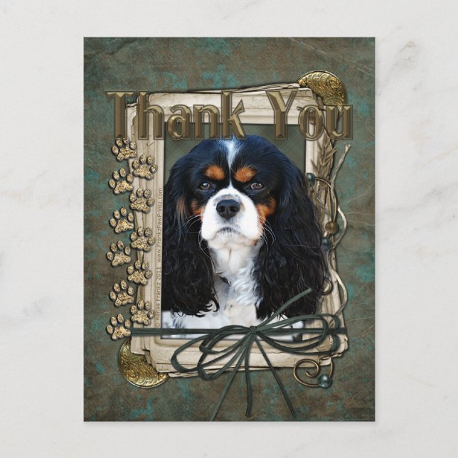 Thank You - Stone Paws - Cavalier Postcard (Front)