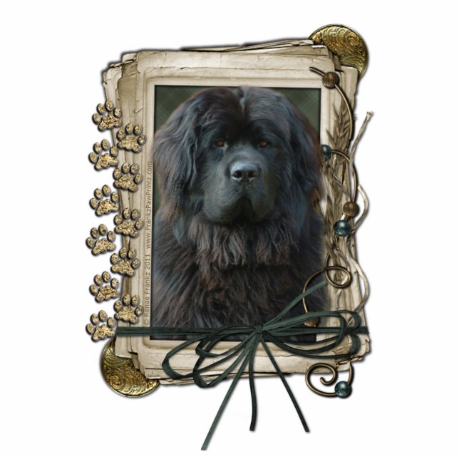 Thank You - Stone Paws - Newfoundland Statuette (Front)