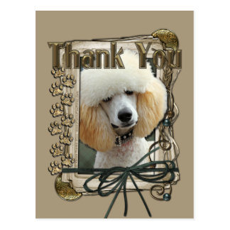 Poodle Thank You Cards | Zazzle