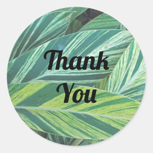 Thank You Striped Tropical Leaves Appreciation Classic Round Sticker