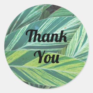 Thank You Striped Tropical Leaves Appreciation Classic Round Sticker