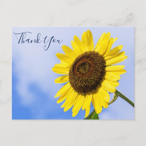 Thank You Sunflower Photo Company Referral  Postcard