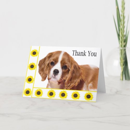 Thank You Sunflowers Cavalier King Charles Spaniel