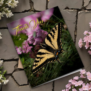 Thank You Swallowtail Butterfly Pink Summer Floral Cards