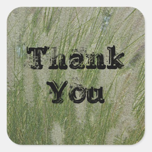 Thank You Tall Desert Grass Appreciation Square Sticker