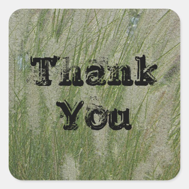 Thank You Tall Desert Grass Appreciation Square Sticker (Front)