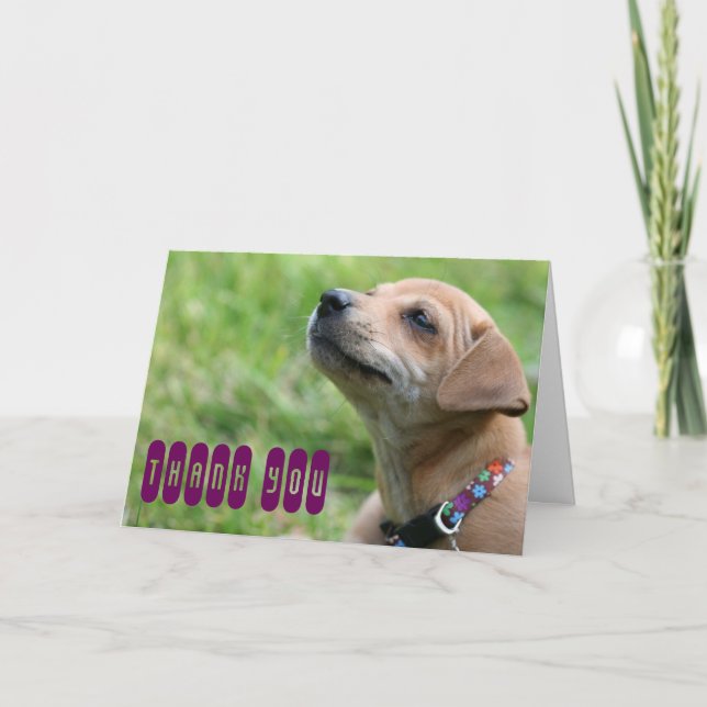 Thank you! thank you card (Front)