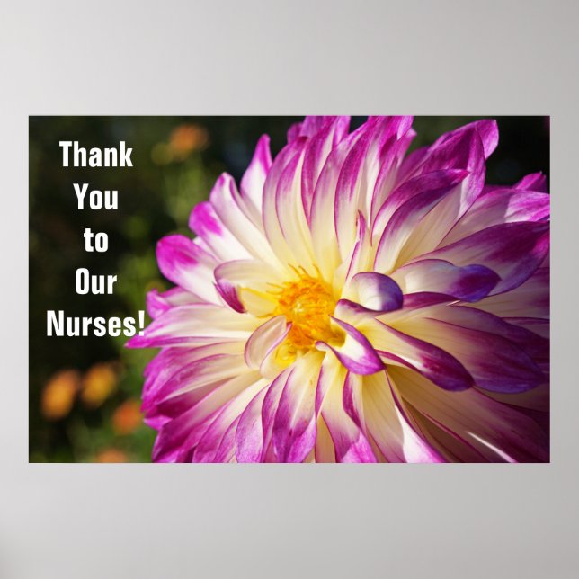 Thank you to Our Nurses Posters Nurse's Week (Front)
