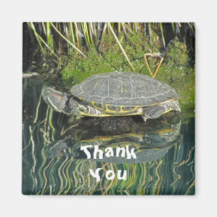 Thank You Turtle Photo with Reflection Nature Magnet