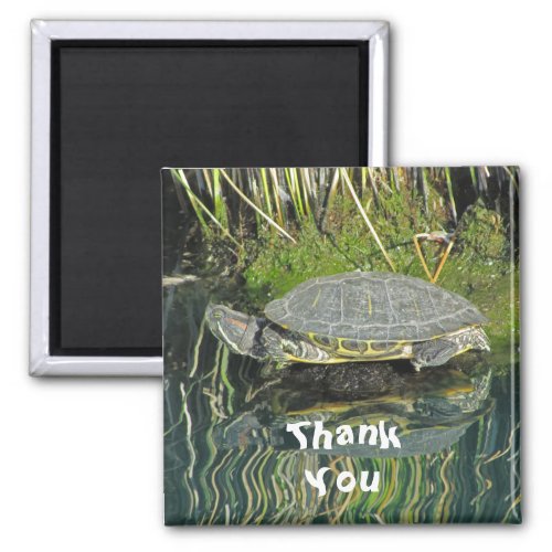 Thank You Turtle Photo with Reflection Nature Magnet